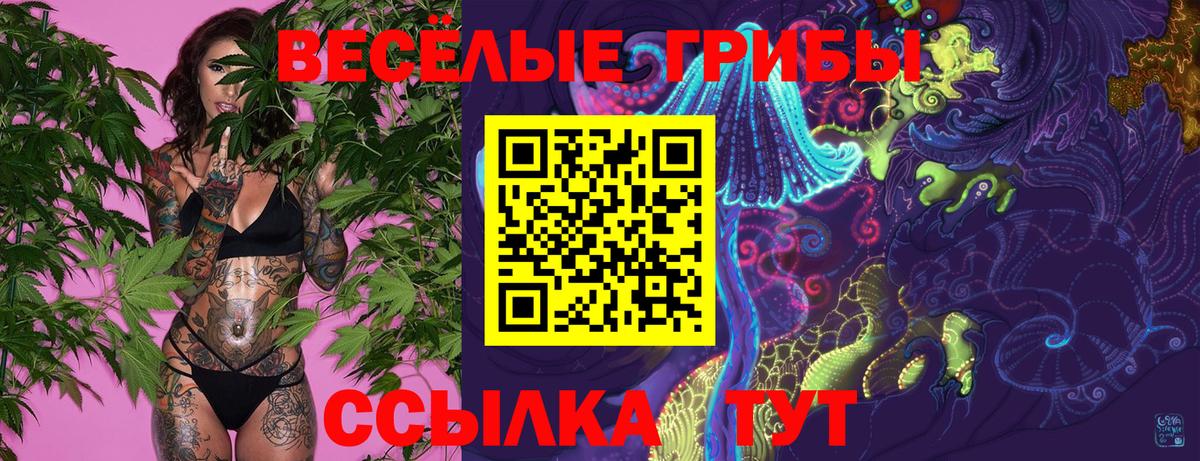 Псилоцибиновые грибы Cubensis  Вход с VPN  Белая Калитва 