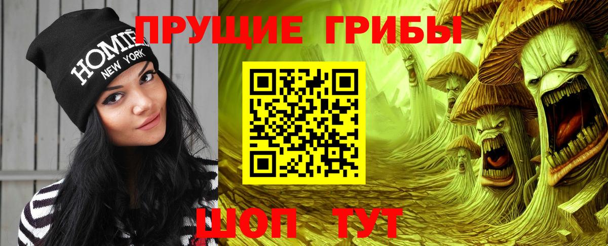 Псилоцибиновые грибы мицелий Белая Калитва