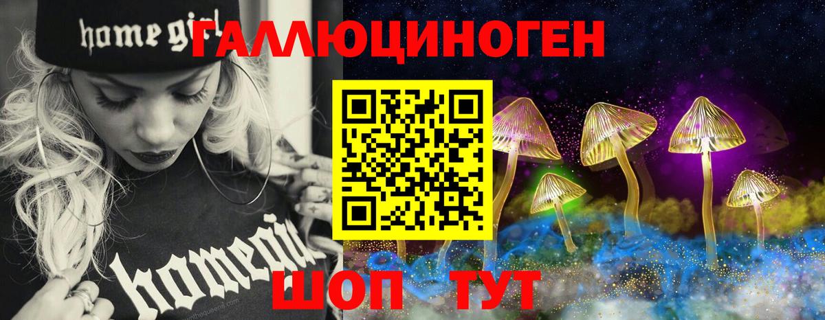 Галлюциногенные грибы Psilocybine cubensis  Белая Калитва  Галлюциногенные грибы ЛСД 