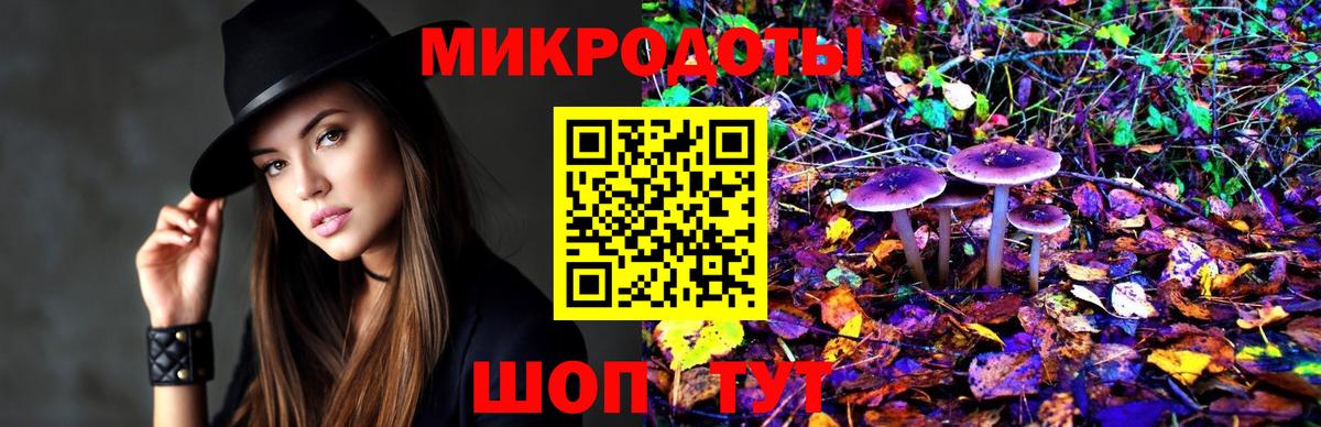 Псилоцибиновые грибы прущие грибы Белая Калитва